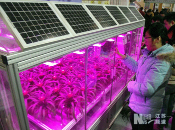 太阳能温室智能花房亮相南京