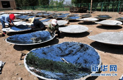 甘肃河西：太阳能“灶”福农民