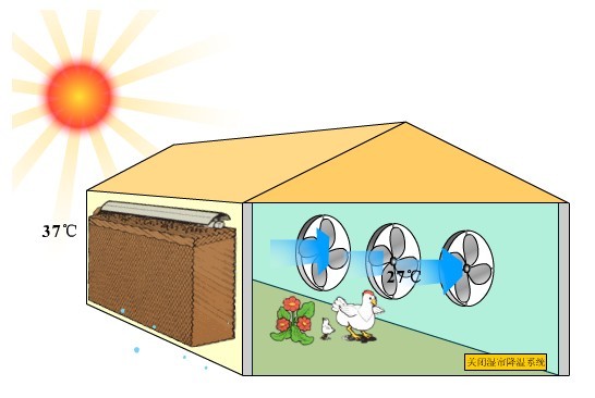 太阳能暖房这个冬天让牧民更温暖
